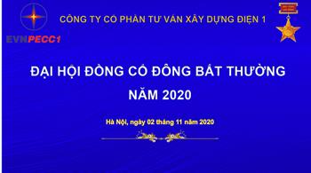 Tài liệu họp ĐHĐCĐ bất thường năm 2020
